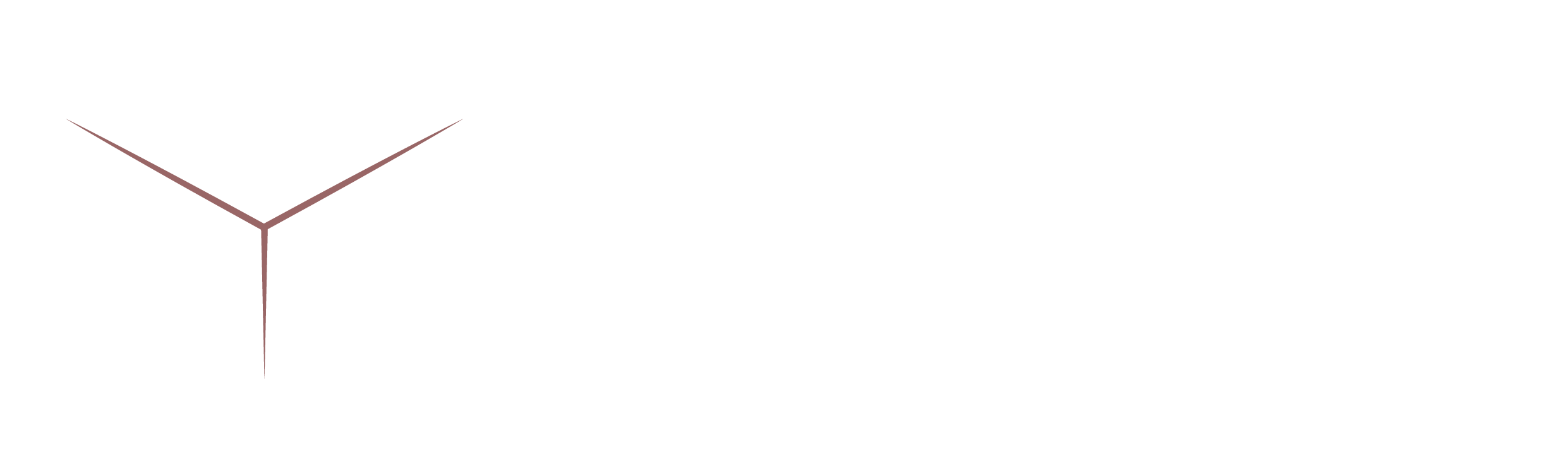 lazada